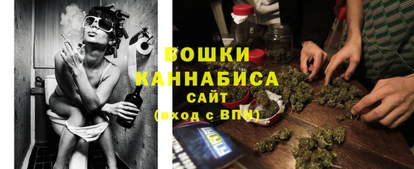 дурь Дмитриев